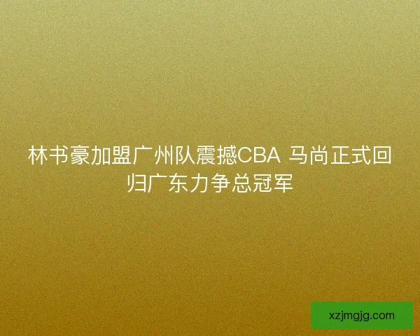 林书豪加盟广州队震撼CBA 马尚正式回归广东力争总冠军